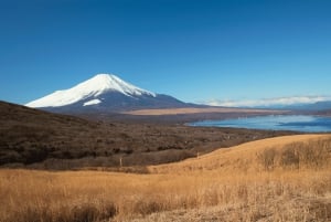 Från Tokyo: Privat dagsutflykt till berget Fuji och Fuji Five Lakes