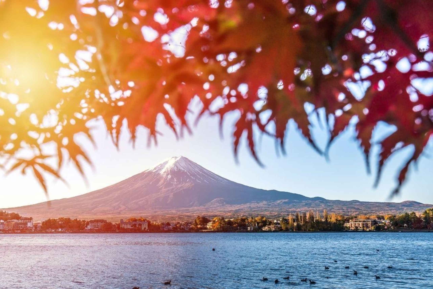 Von Tokio aus: Private Mt. Fuji und Hakone Tour mit dem Auto