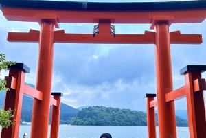 Z Tokio: Prywatna wycieczka samochodem na górę Fuji i do Hakone