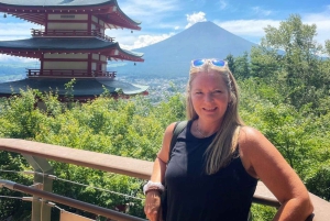 Z Tokio: Prywatna wycieczka samochodem na górę Fuji i do Hakone