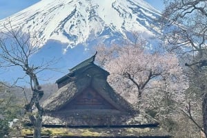 Z Tokio: Prywatna wycieczka samochodem na górę Fuji i do Hakone