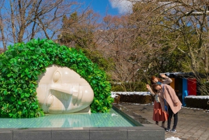 Z Tokio: Prywatna wycieczka samochodem na górę Fuji i do Hakone