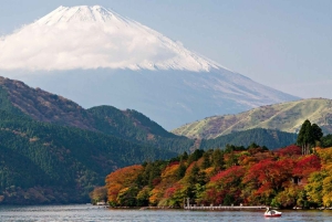 Von Tokio aus: Private Mt. Fuji und Hakone Tour mit dem Auto