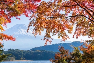 Von Tokio aus: Private Mt. Fuji und Hakone Tour mit dem Auto