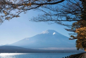 Von Tokio aus: Private Mt. Fuji und Hakone Tour mit dem Auto