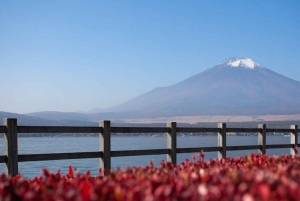 Von Tokio aus: Private Mt. Fuji und Hakone Tour mit dem Auto