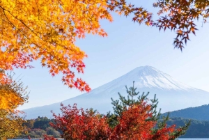 Von Tokio aus: Private Mt. Fuji und Hakone Tour mit dem Auto