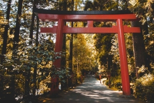 Von Tokio aus: Private Mt. Fuji und Hakone Tour mit dem Auto