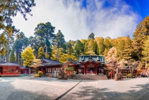 Von Tokio aus: Private Mt. Fuji und Hakone Tour mit dem Auto