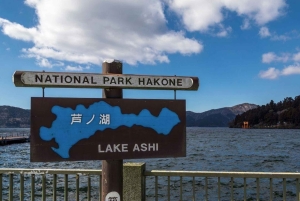 Von Tokio aus: Private Mt. Fuji und Hakone Tour mit dem Auto