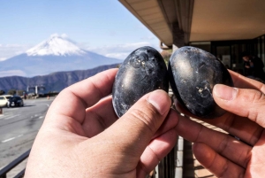 Von Tokio aus: Private Mt. Fuji und Hakone Tour mit dem Auto