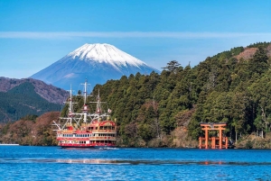 Von Tokio aus: Private Mt. Fuji und Hakone Tour mit dem Auto