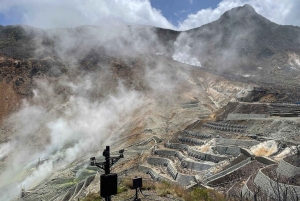 Von Tokio aus: Private Mt. Fuji und Hakone Tour mit dem Auto