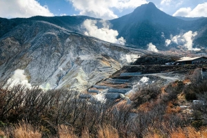 Von Tokio aus: Private Mt. Fuji und Hakone Tour mit dem Auto