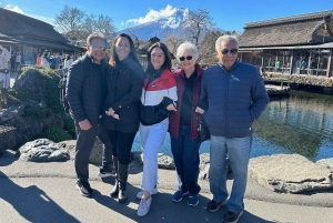 Von Tokio aus: Private Mt. Fuji und Hakone Tour mit dem Auto