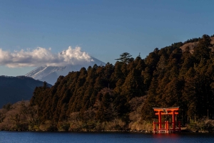 Von Tokio aus: Private Mt. Fuji und Hakone Tour mit dem Auto