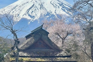 Von Tokio aus: Private Mt. Fuji und Hakone Tour mit dem Auto