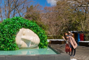 Von Tokio aus: Private Mt. Fuji und Hakone Tour mit dem Auto