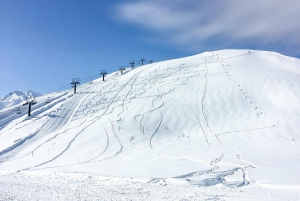 From Tokyo: Private Nagano Tour with Zenkoji & Snow Monkeys