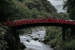 Da Tokyo: Escursione privata di un giorno a Nikko, patrimonio mondiale dell'umanità