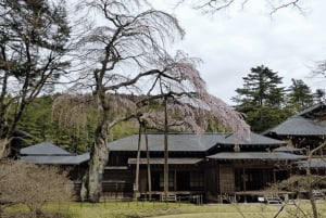 Da Tokyo: Escursione privata di un giorno a Nikko, patrimonio mondiale dell'umanità