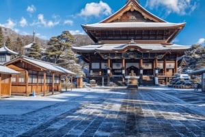 Da Tokyo: Escursione privata di un giorno a Nikko, patrimonio mondiale dell'umanità