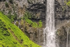 Da Tokyo: Escursione privata di un giorno a Nikko, patrimonio mondiale dell'umanità