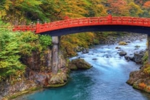 Da Tokyo: Escursione privata di un giorno a Nikko, patrimonio mondiale dell'umanità