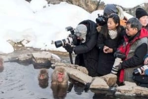 Tokiosta: yksityinen kierros lumimakakkipuistoon ja Zenko-ji-temppeliin