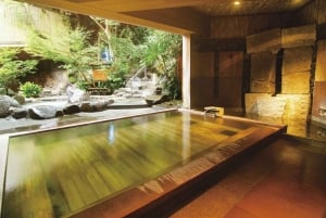 Au départ de Tokyo : visite privée à Fuji/Hakone - Onsen, art, nature