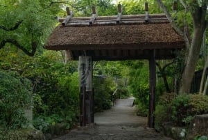 Au départ de Tokyo : visite privée à Fuji/Hakone - Onsen, art, nature