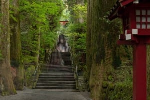 Au départ de Tokyo : visite privée à Fuji/Hakone - Onsen, art, nature