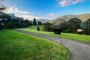 Au départ de Tokyo : visite privée à Fuji/Hakone - Onsen, art, nature