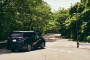 Au départ de Tokyo : visite privée à Fuji/Hakone - Onsen, art, nature
