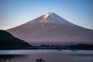 Au départ de Tokyo : visite privée à Fuji/Hakone - Onsen, art, nature