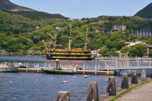 Au départ de Tokyo : visite privée à Fuji/Hakone - Onsen, art, nature