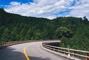 Au départ de Tokyo : visite privée à Fuji/Hakone - Onsen, art, nature