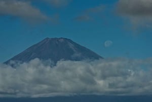 Au départ de Tokyo : visite privée à Fuji/Hakone - Onsen, art, nature