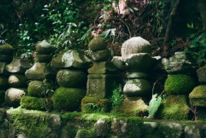 Au départ de Tokyo : visite privée à Fuji/Hakone - Onsen, art, nature