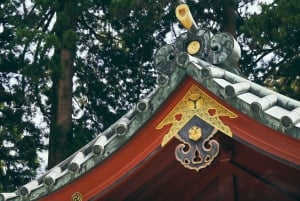 Au départ de Tokyo : visite privée à Fuji/Hakone - Onsen, art, nature