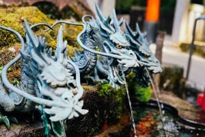 Au départ de Tokyo : visite privée à Fuji/Hakone - Onsen, art, nature