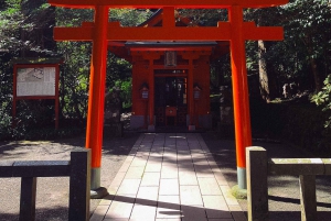 Au départ de Tokyo : visite privée à Fuji/Hakone - Onsen, art, nature