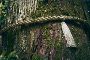 Au départ de Tokyo : visite privée à Fuji/Hakone - Onsen, art, nature