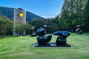 Au départ de Tokyo : visite privée à Fuji/Hakone - Onsen, art, nature