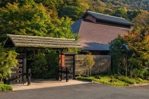 Au départ de Tokyo : visite privée à Fuji/Hakone - Onsen, art, nature