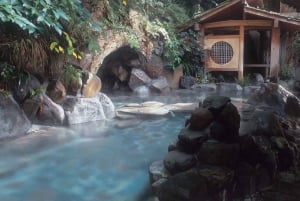 Au départ de Tokyo : visite privée à Fuji/Hakone - Onsen, art, nature