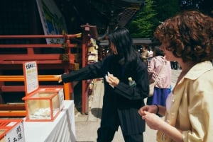 Au départ de Tokyo : visite privée à Fuji/Hakone - Onsen, art, nature