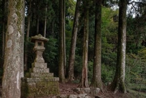 Au départ de Tokyo : visite privée à Fuji/Hakone - Onsen, art, nature