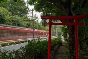 Au départ de Tokyo : visite privée à Fuji/Hakone - Onsen, art, nature