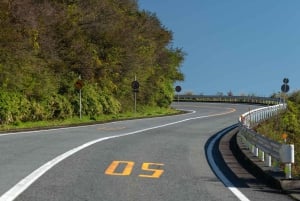 Au départ de Tokyo : visite privée à Fuji/Hakone - Onsen, art, nature